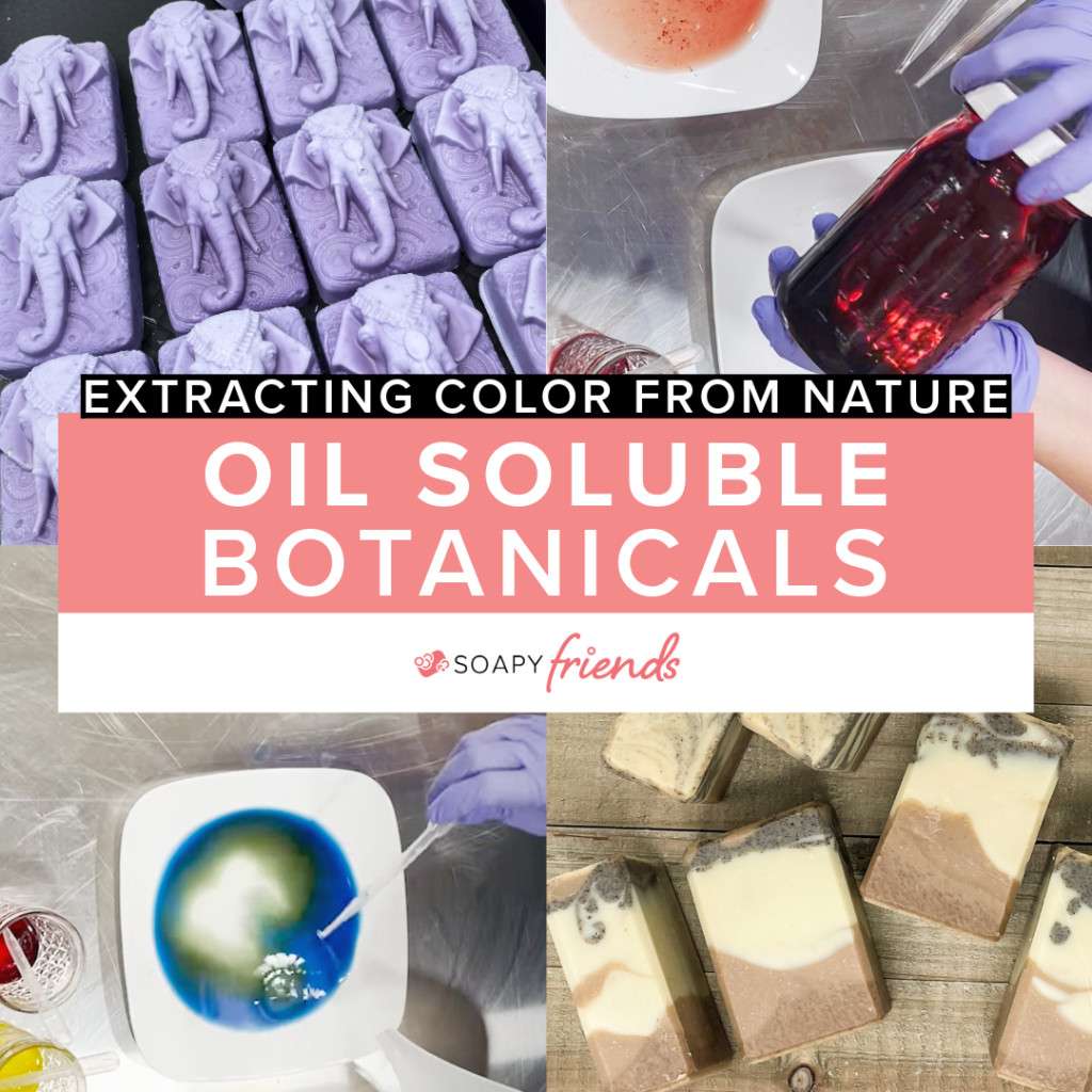 Oil Soluble Botanicals 1 - image for Friend-iversary Celebration Extracting Color from Nature - Oil Infusions for Handmade Soap