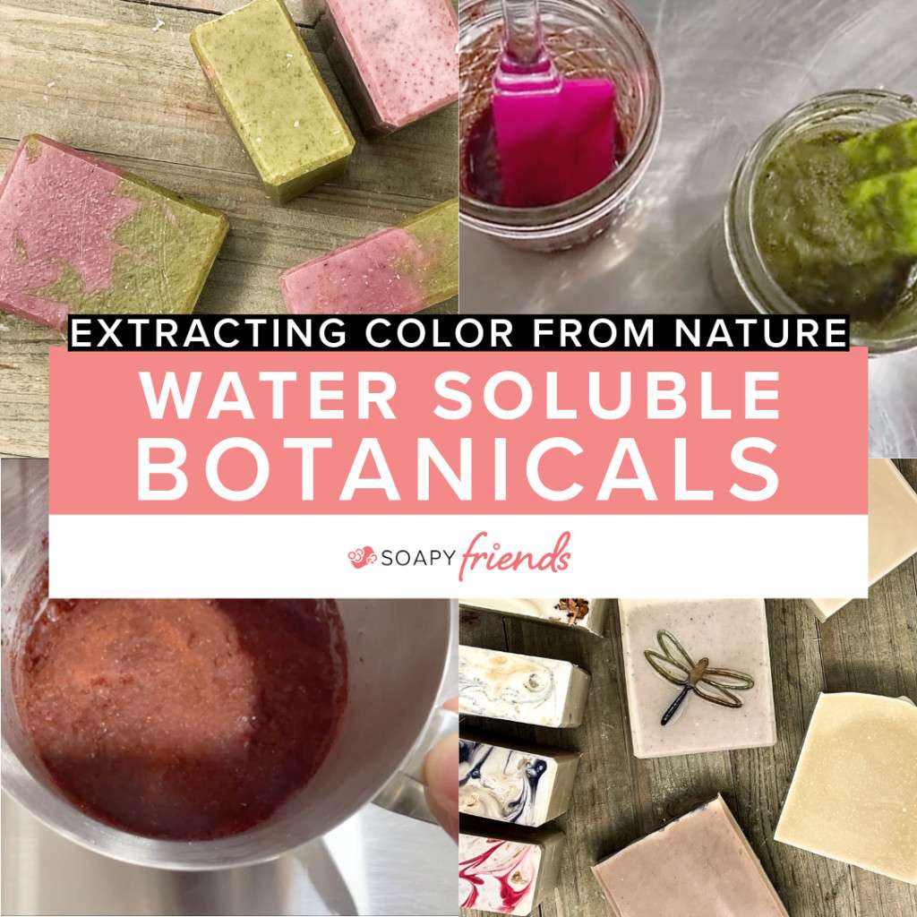 Water Soluble Botanicals 1 - image for Friend-iversary Celebration Extracting Color from Nature - Water Soluble Botanicals for Handmade Soap